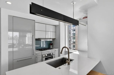 Welcome to Residence 5H at The Edge, Williamsburg's premier - photo 4
