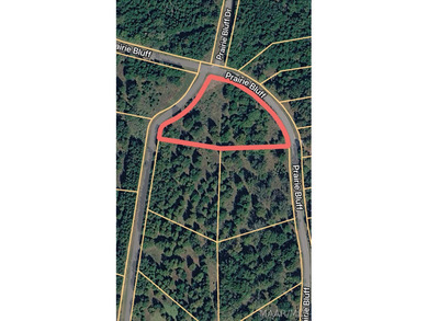 William Dannelly Reservoir Acreage For Sale in Catherine Alabama