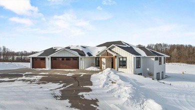 (private lake, pond, creek) Home For Sale in Stratford Wisconsin