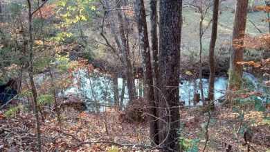 (private lake, pond, coastal) Acreage For Sale in Modoc South Carolina