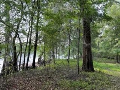 Suwannee River - Gilchrest County Lot For Sale in Bell Florida