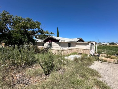 (private lake, pond, creek) Home For Sale in Colorado City Texas