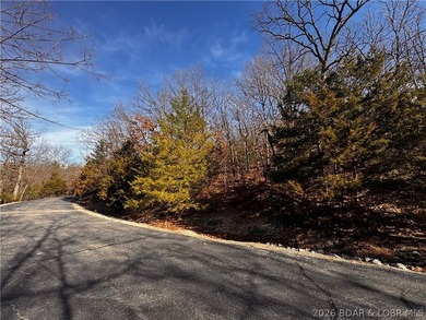 This Southern facing parcel is a very rare find at Lake of the - photo 8