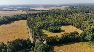 (private lake, pond, creek) Acreage For Sale in Williamsport Indiana