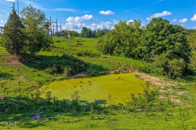 Holston River - Hawkins County Acreage For Sale in Church Hill Tennessee
