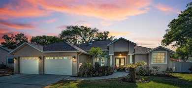 Lake Home Sale Pending in Land O Lakes, Florida