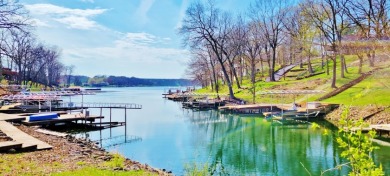 Cost-effective lakefront lot in cove setting - Lake Lot For Sale in Dahinda, Illinois