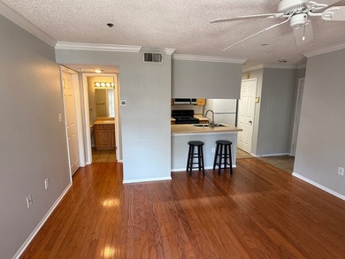 This beautiful condo is in the heart of South Tampa's beloved - photo 4