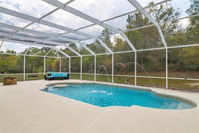 Beautiful 2 Story Saltwater Pool Home In The Waters Of Weeki - photo 8