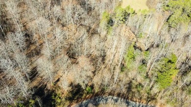 Lake Lot For Sale in New Tazewell, Tennessee