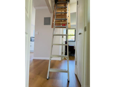 Beautiful newly renovated Large 2 Bedrooms in one of the best - photo 27