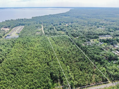 This 9.75 acre tract of wooded land has 330' of frontage on Hwy - photo 3