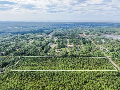This 9.75 acre tract of wooded land has 330' of frontage on Hwy - photo 4