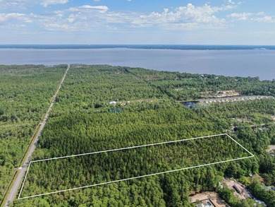 This 9.75 acre tract of wooded land has 330' of frontage on Hwy - photo 5