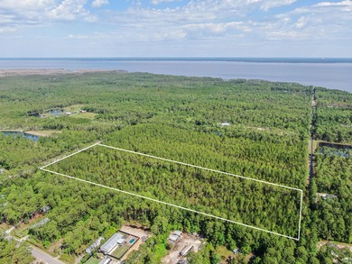 This 9.75 acre tract of wooded land has 330' of frontage on Hwy - photo 6