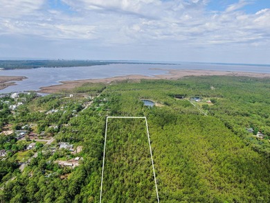 This 9.75 acre tract of wooded land has 330' of frontage on Hwy - photo 8