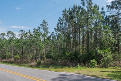 This 9.75 acre tract of wooded land has 330' of frontage on Hwy - photo 9