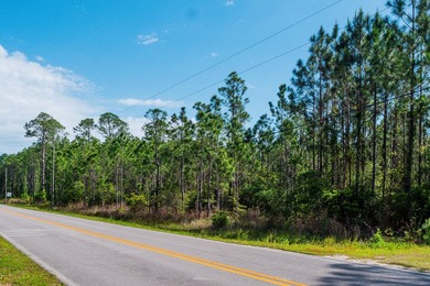 This 9.75 acre tract of wooded land has 330' of frontage on Hwy - photo 10
