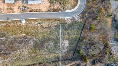 Welcome to Harpers Cov-Osage Beach's newest lakefront and - photo 5