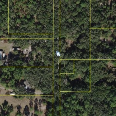 Lake Weir Lot For Sale in Ocklawaha Florida