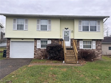 Ohio River Home For Sale in Toronto Ohio