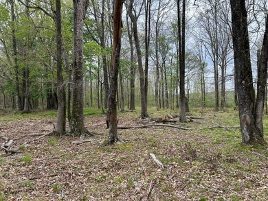 This 35 acres checks a lot of boxes including a 4+ acre private - photo 2
