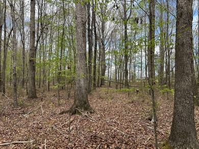 This 35 acres checks a lot of boxes including a 4+ acre private - photo 4
