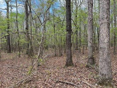 This 35 acres checks a lot of boxes including a 4+ acre private - photo 5