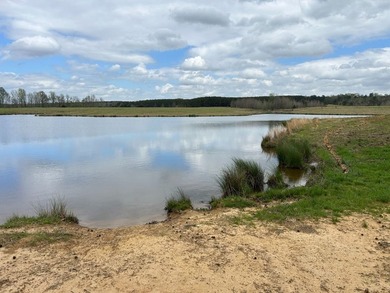 This 35 acres checks a lot of boxes including a 4+ acre private - photo 6