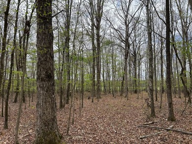 This 35 acres checks a lot of boxes including a 4+ acre private - photo 7
