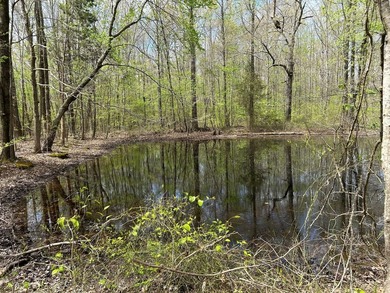 This 35 acres checks a lot of boxes including a 4+ acre private - photo 8