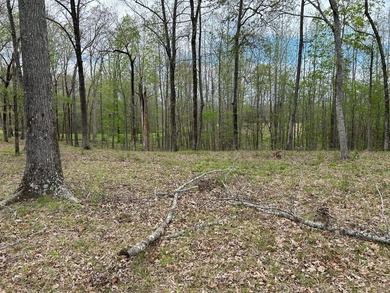 This 35 acres checks a lot of boxes including a 4+ acre private - photo 9