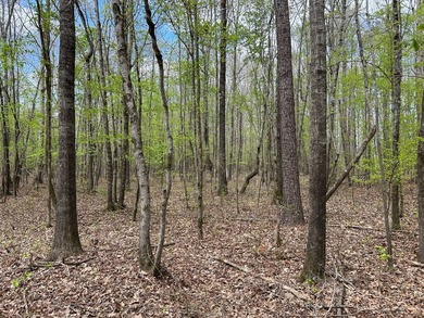 This 35 acres checks a lot of boxes including a 4+ acre private - photo 10