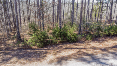 Marina Point Lot - Restricted Neighborhood -  On a Cove - photo 3