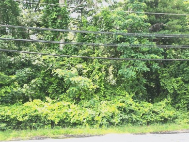 Lake Lot For Sale in Yaphank, New York