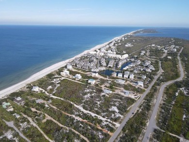 Breathtaking GULF FRONT Offering over 100' of frontage and 2.7 - photo 11