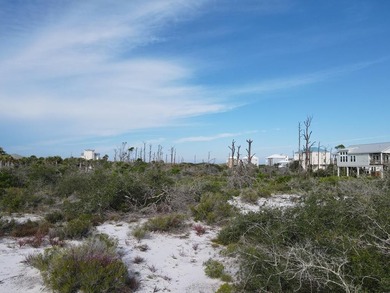 Breathtaking GULF FRONT Offering over 100' of frontage and 2.7 - photo 13