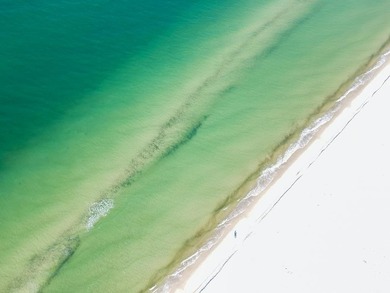 Breathtaking GULF FRONT Offering over 100' of frontage and 2.7 - photo 17