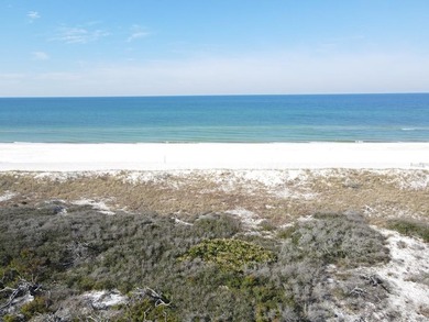 Breathtaking GULF FRONT Offering over 100' of frontage and 2.7 - photo 18