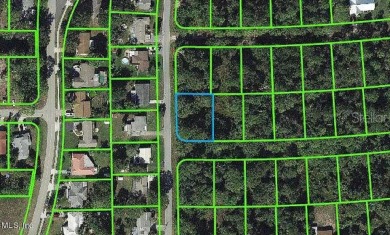 Lake Grassy Lot For Sale in Lake Placid Florida