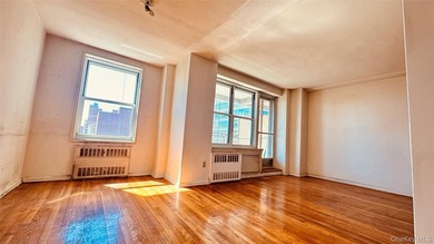 Spacious ~ 1,000 sq ft 1BR in prime Flushing 1BR with lots - photo 5