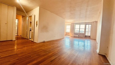 Spacious ~ 1,000 sq ft 1BR in prime Flushing 1BR with lots - photo 8