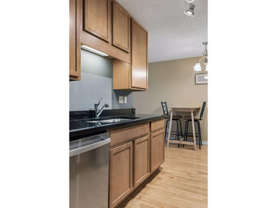 Welcome to the Lowry Hill Park Condominiums! Located directly - photo 13