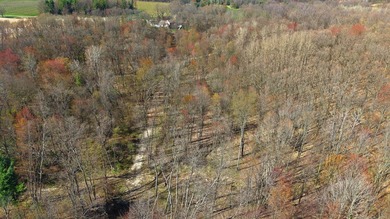 Just over 9 acres of vacant land offering endless possibilities - photo 16