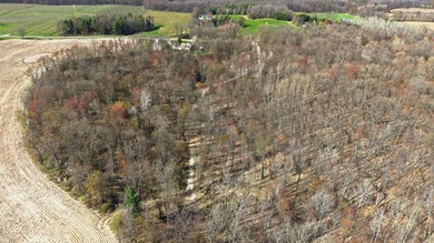 Just over 9 acres of vacant land offering endless possibilities - photo 17