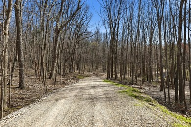 Just over 9 acres of vacant land offering endless possibilities - photo 19