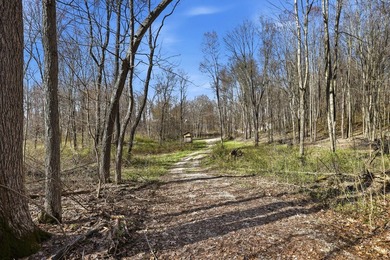 Just over 9 acres of vacant land offering endless possibilities - photo 22