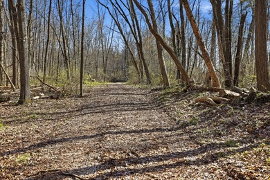 Just over 9 acres of vacant land offering endless possibilities - photo 23