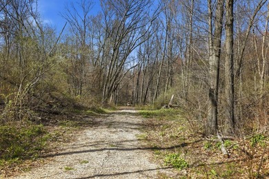 Just over 9 acres of vacant land offering endless possibilities - photo 25