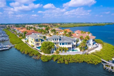 Gulf of Mexico - Old Tampa Bay Home For Sale in Tampa Florida